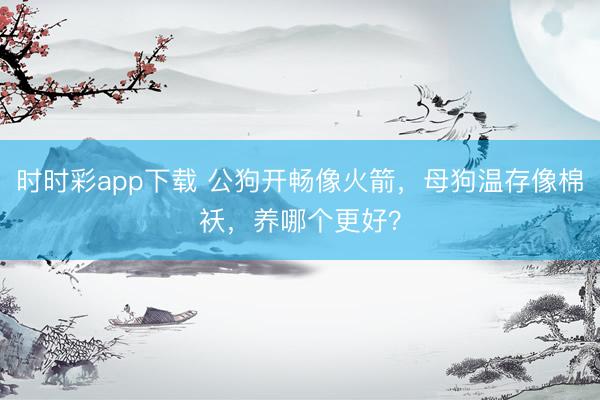 時時彩app下載 公狗開暢像火箭，母狗溫存像棉襖，養哪個更好？